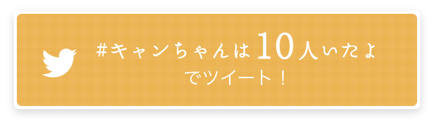 キャンちゃんは8人いたよ！ でツイート