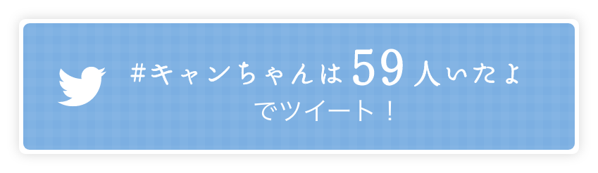 キャンちゃんは8人いたよ！ でツイートー