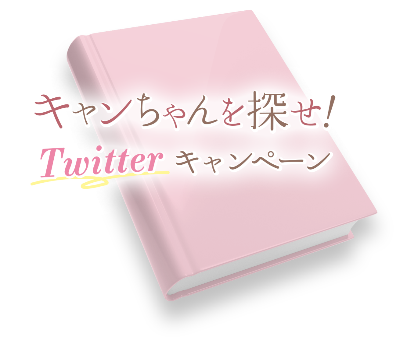 キャンちゃんを探せ！ Twitterキャンペーン