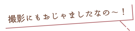 撮影にもおじゃましたなの〜！